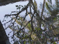 -海南清水湾莱佛士酒店