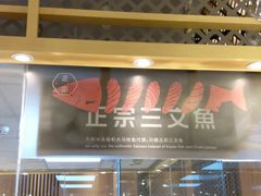 门面-争鲜回转寿司(太阳宫凯德PLUS店)