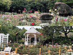 -广州市白云山风景名胜区