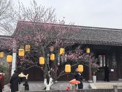 -丝绸小镇荻港古村
