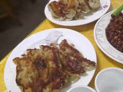 羊肉锅贴-青岛锅贴(洛阳路分店)