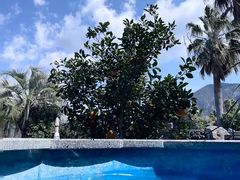 -济州山房山碳酸温泉