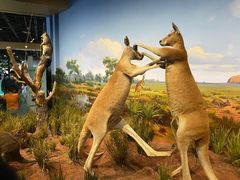 -陕西自然博物馆