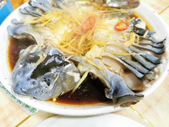稀鳞硅鱼-煲来饱去冷水鱼