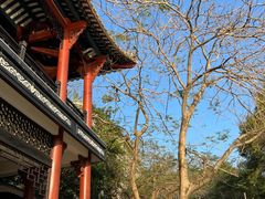 -顺峰山公园