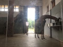 -南昌动物园