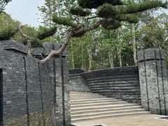 -朴园