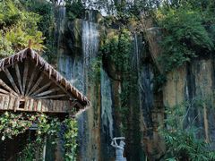 -西双版纳原始森林公园