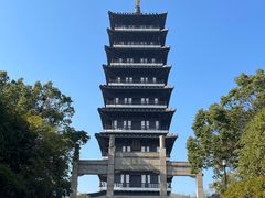 -宜兴龙背山森林公园