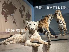-上海自然博物馆