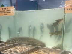 -金滏山烤肉·海鲜·火锅自助餐厅(襄阳万达店)