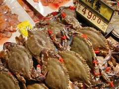 -渔娘渔家丹东海鲜(东直门店)