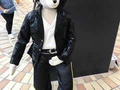 -济州岛泰迪熊博物馆