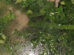 -饭桌故事·血鸭湘(荣宝华店)