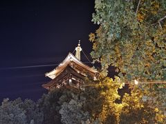 -猫的天空之城概念书店(杭州南宋御街店)