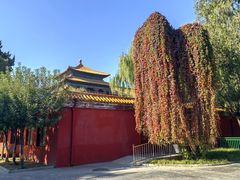 -北京市劳动人民文化宫(太庙)