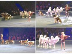 -珠海横琴长隆《卡卡虎奇遇记》