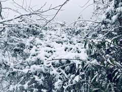-九峰山