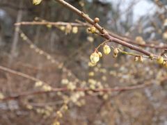 -终南山国家森林公园