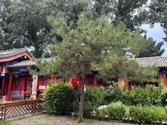 -中卫御苑福膳·养生局(圆明园店)