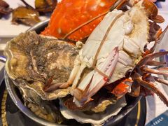 -半岛听涛蒸汽海鲜自助(K11店)