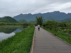 -大九湖