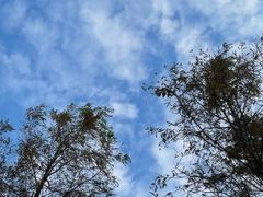 -东方艺术博物馆