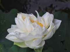 -黄兴公园