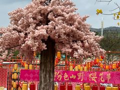 -盈香心动乐园