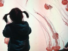 -沈阳海洋探索中心