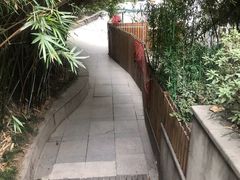 -素清香(解放路店)