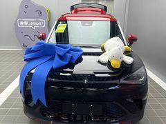 -上海浦东smart汽车全功能店(金桥店)