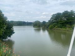 -海珠湖公园