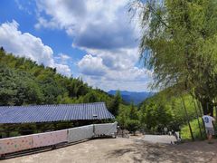 -大围山国家森林公园