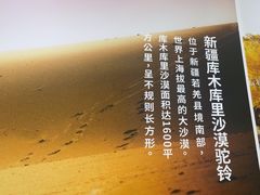 -西域胡氏大盘鸡(谈固店)