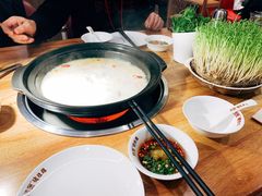 -好彩猪肚鸡(正弘城店)