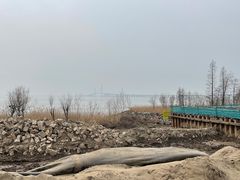 -上海崇明金茂凯悦酒店