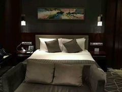 android_upload_pic-常州环球恐龙城维景国际大酒店