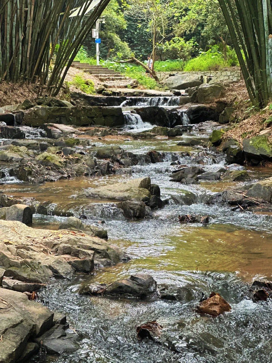 太消暑啦!好喜欢这个玩水的竹林小溪!