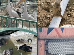 -水上乐园·欢乐世界