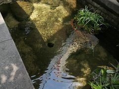 -泉乐坊步行街(烟酒特产平价超市店)