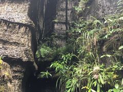 -梭布垭石林景区