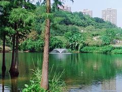 -重庆彩云湖湿地公园