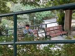 -九龙公园