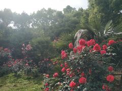 -东湖落雁景区