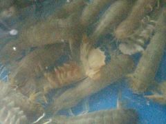 -宾朋海鲜特色美食餐厅·纯手工鲅鱼水饺(兴海路店)