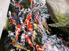-贵阳高新惠诚食品有限公司