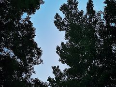 -秀水公园