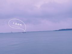 -上海浦东华美达大酒店