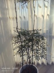 -HEYAN荷妍专业脱毛连锁机构
